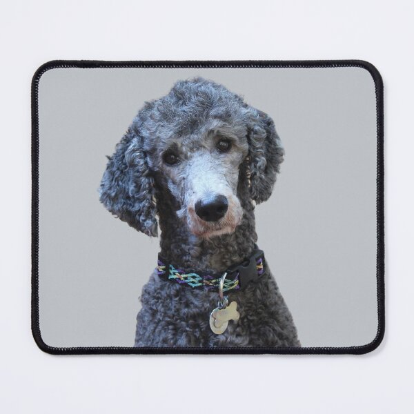 Item preview, Curly Poodle designed and sold by RainbowSpinkle.