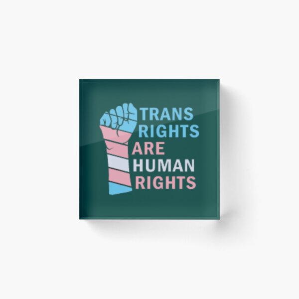 Item preview, protect trans kids                           designed and sold by SurprideS.