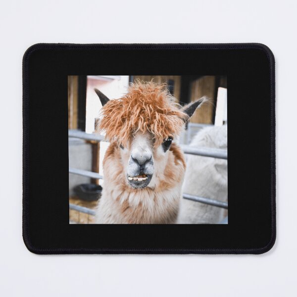 Item preview, Alpaca Classic . designed and sold by alexanderneni.