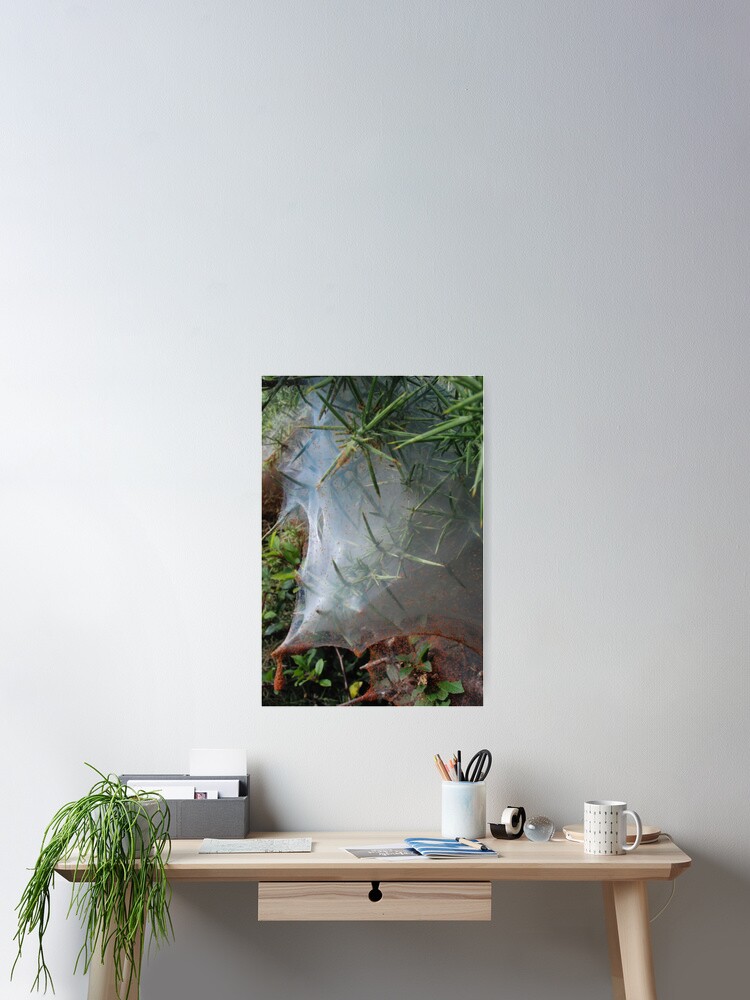 Thumbnail 2 of 3, Poster, Funnel Web designed and sold by imageworld.