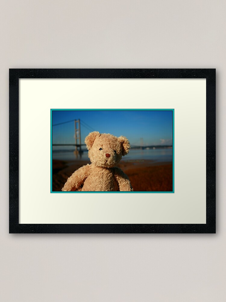 george teddy bear