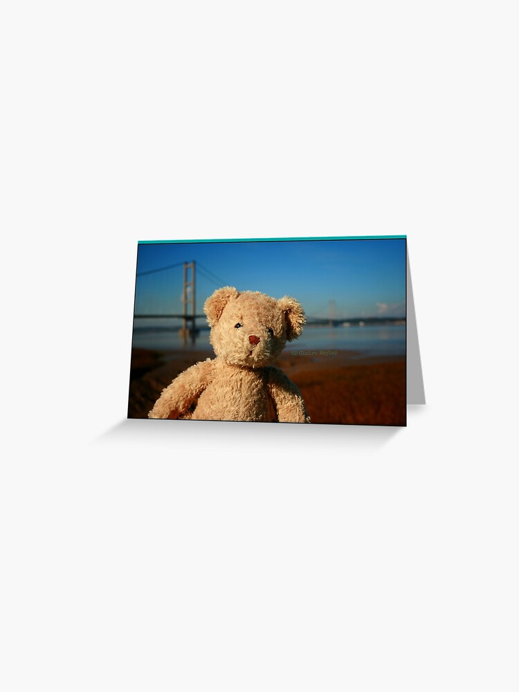 george teddy bear