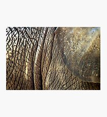 Wrinkles Photographic Print