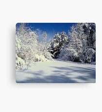 UNTOUCHED - 2 ^ Canvas Print