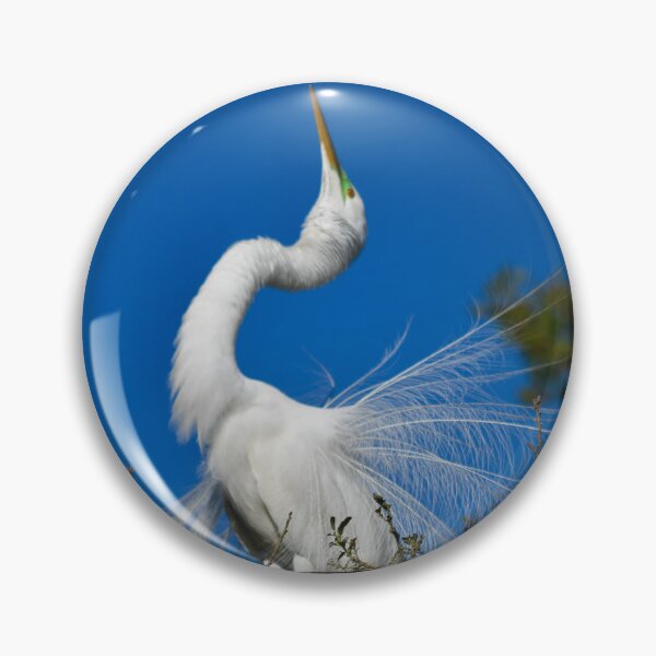 Item preview, Great Egret Mating Dance designed and sold by richardbryce.
