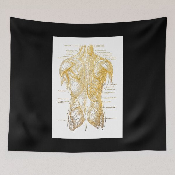 Item preview, Massage Therapist Body art designed and sold by AleehaZenger.