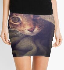 Cozy Mini Skirt
