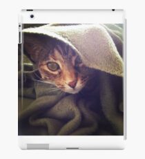 Cozy iPad Case/Skin