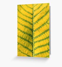 Yellow Leaf Greeting Card