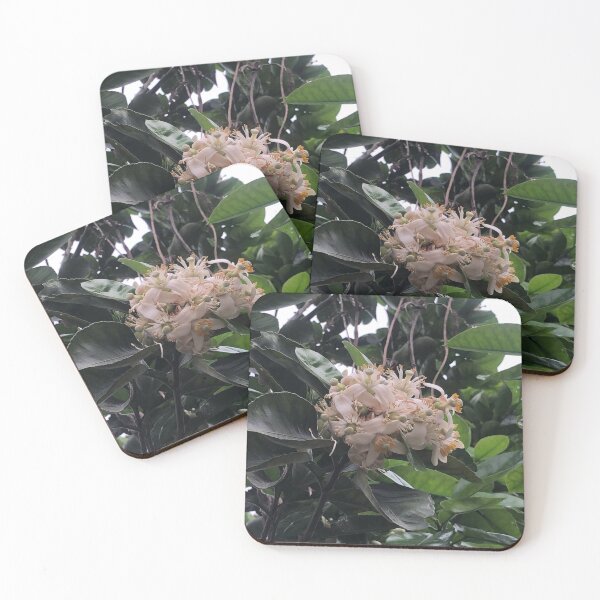 Item preview, Grapefruit Blossom designed and sold by fultond.