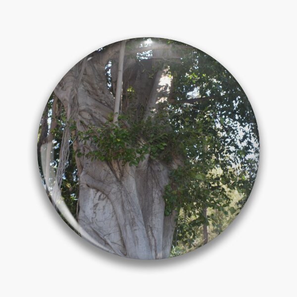 Item preview, Moreton bay fig 1 designed and sold by Furiarossa.