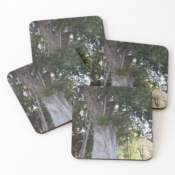 Item preview, Moreton bay fig 1 designed and sold by Furiarossa.