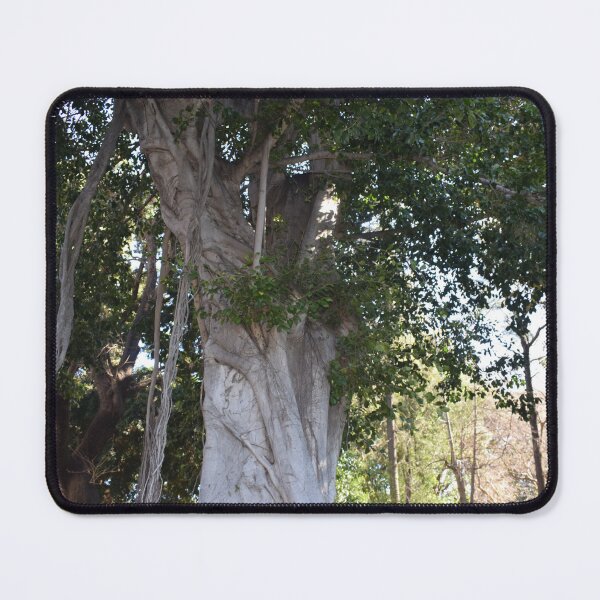 Item preview, Moreton bay fig 1 designed and sold by Furiarossa.