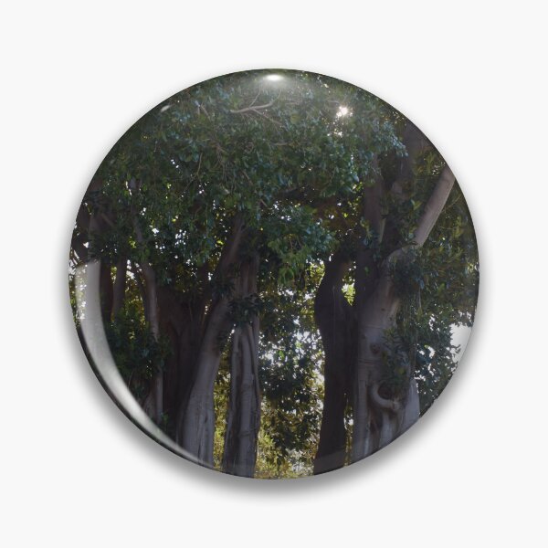 Item preview, Moreton bay fig 2 designed and sold by Furiarossa.