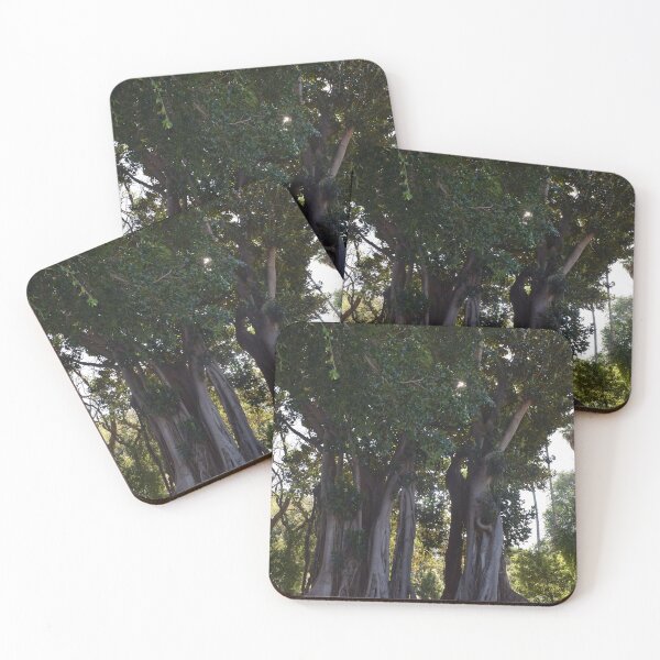 Item preview, Moreton bay fig 2 designed and sold by Furiarossa.