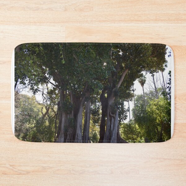 Item preview, Moreton bay fig 2 designed and sold by Furiarossa.