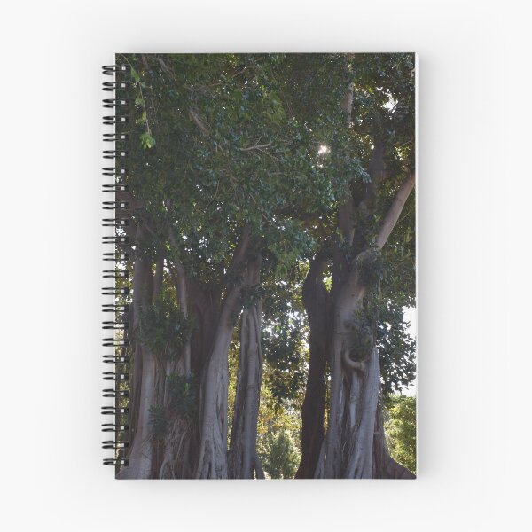 Item preview, Moreton bay fig 2 designed and sold by Furiarossa.