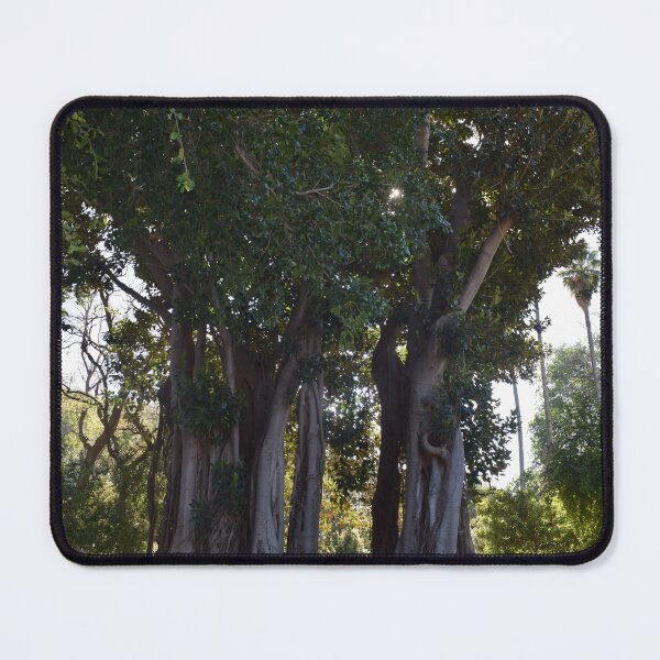 Item preview, Moreton bay fig 2 designed and sold by Furiarossa.