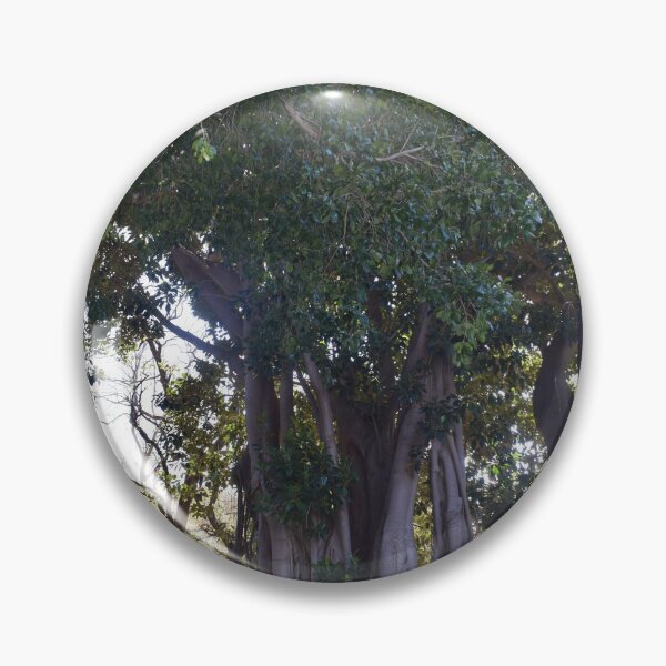 Item preview, Moreton bay fig 3 designed and sold by Furiarossa.