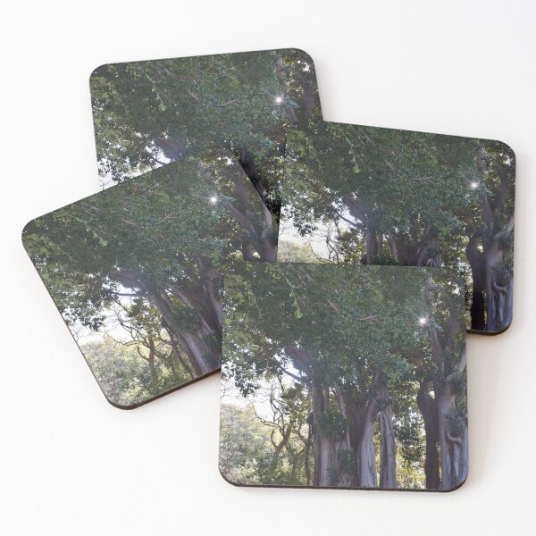 Item preview, Moreton bay fig 3 designed and sold by Furiarossa.