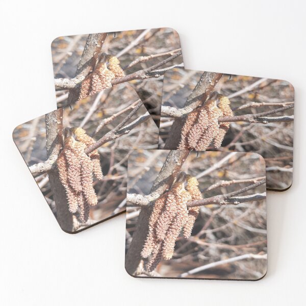 Item preview, wake up call from early spring.... designed and sold by barbich.