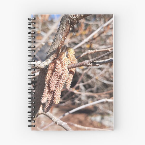 Item preview, wake up call from early spring.... designed and sold by barbich.
