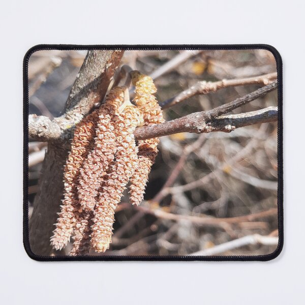 Item preview, wake up call from early spring.... designed and sold by barbich.