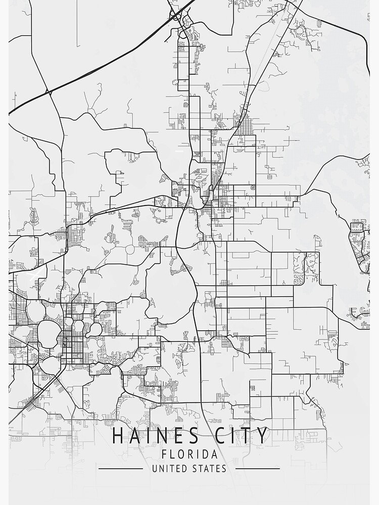 quot Haines City Florida US Gray - Flat,750x,075,f Pad,750x1000,f8f8f8