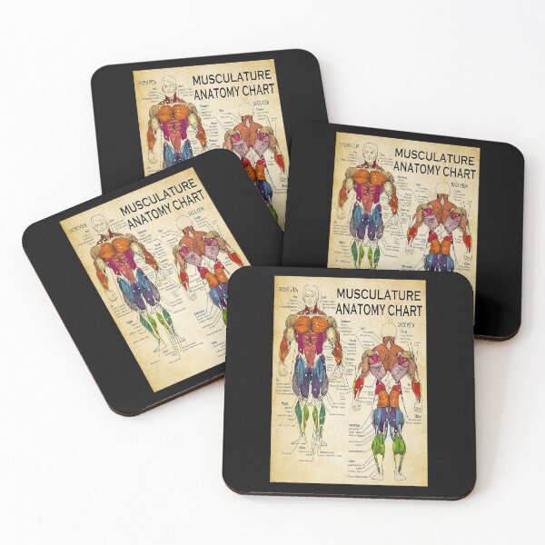 Item preview, Massage Therapist Muscular Chart art   designed and sold by AleehaZenger.