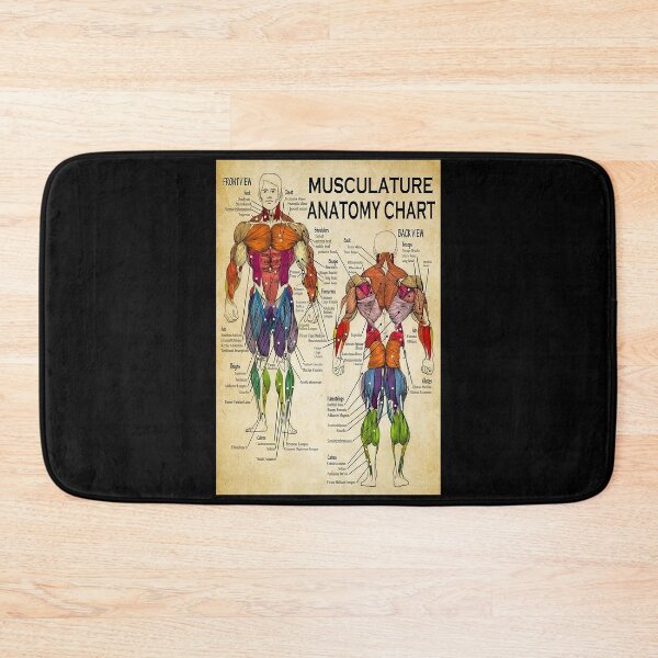 Item preview, Massage Therapist Muscular Chart art   designed and sold by AleehaZenger.