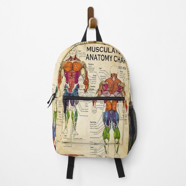Item preview, Massage Therapist Muscular Chart art   designed and sold by AleehaZenger.