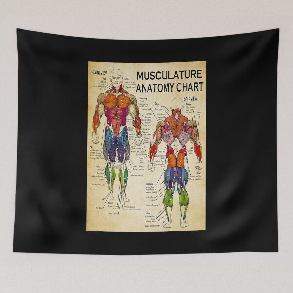 Item preview, Massage Therapist Muscular Chart art   designed and sold by AleehaZenger.