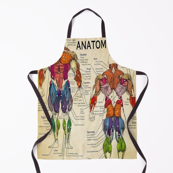 Item preview, Massage Therapist Muscular Chart art   designed and sold by AleehaZenger.