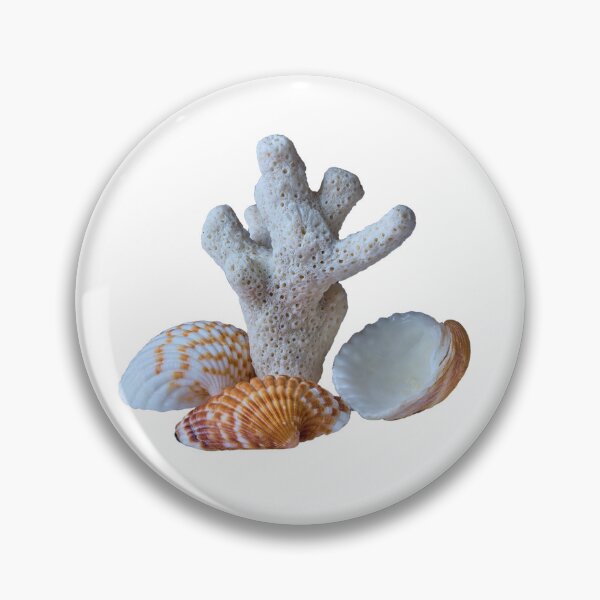 Item preview, coral and shells designed and sold by IgorKovalenko.