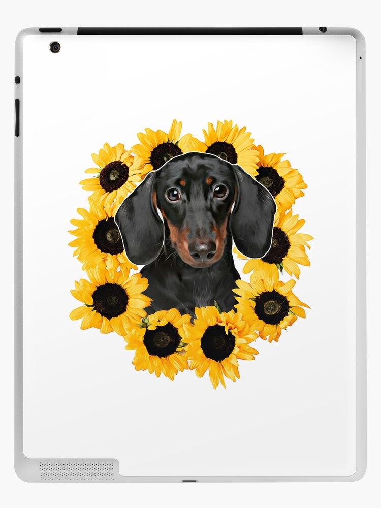 sunflower dachshunds