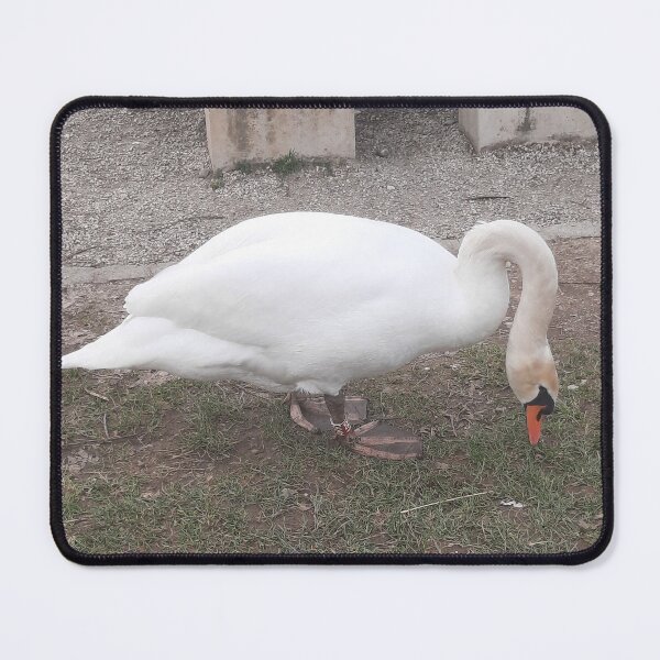 Item preview, swan designed and sold by barbich.