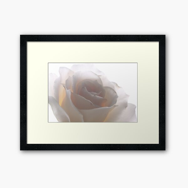 French Lace Framed Art Print