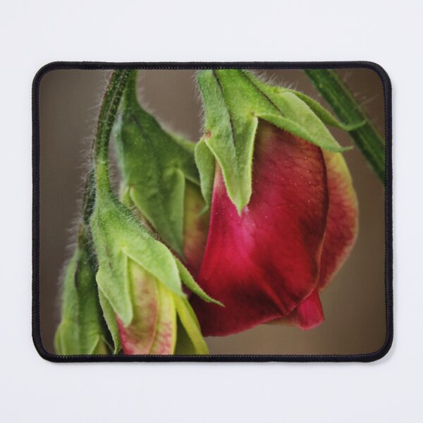 Item preview, Dark Portrayal Of The Sweetpea designed and sold by coffeebean.
