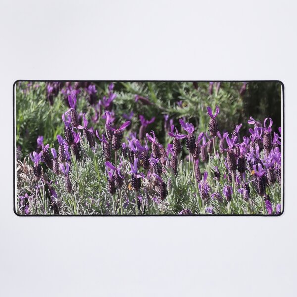 Vista previa del artículo con la obra «Campo de lavanda», diseñado y vendido por NJH110.