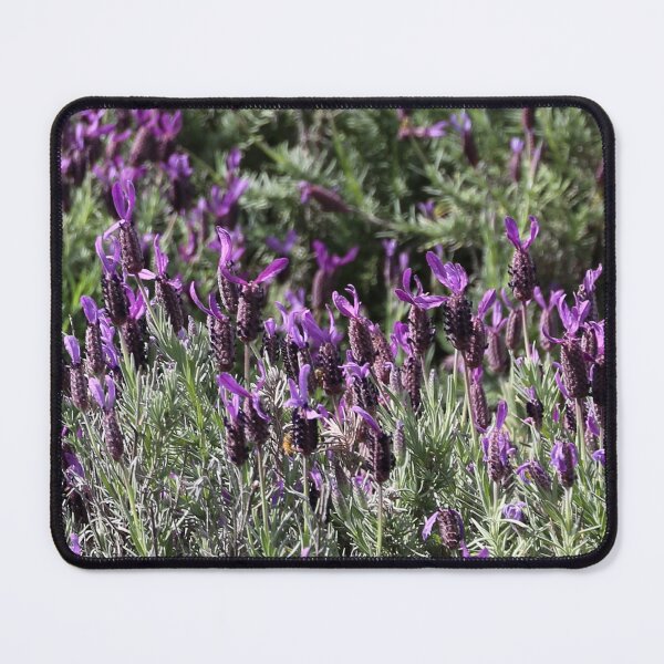 Item preview, Lavender field designed and sold by NJH110.
