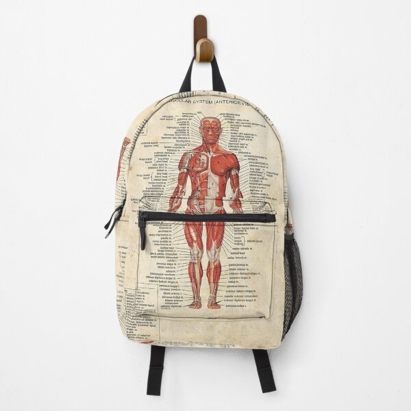 Item preview, Massage Therapist Muscular System art designed and sold by AleehaZenger.