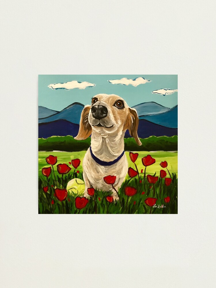 Dachshund dog art, whimsical dog art 'Honey' the Happy Dog Photographic  Print