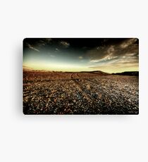 Follow my track Canvas Print