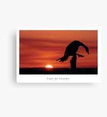 Cape de Couedic Canvas Print
