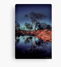River Red Gum Canvas Print