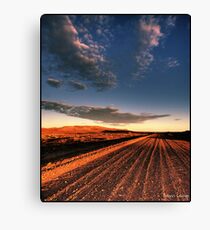 A dirty road in the outback Canvas Print