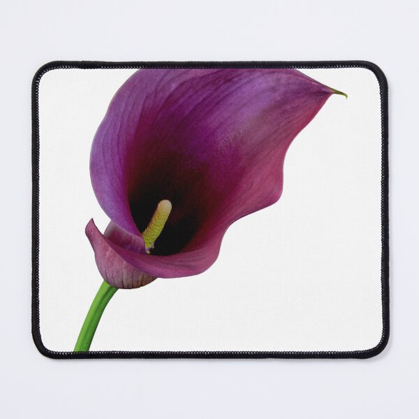 Item preview, Zantedeschia designed and sold by IgorKovalenko.