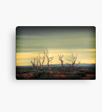 The dance of the trees Canvas Print