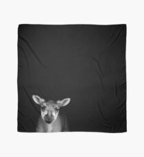 Young Nobby (Black & White) Scarf