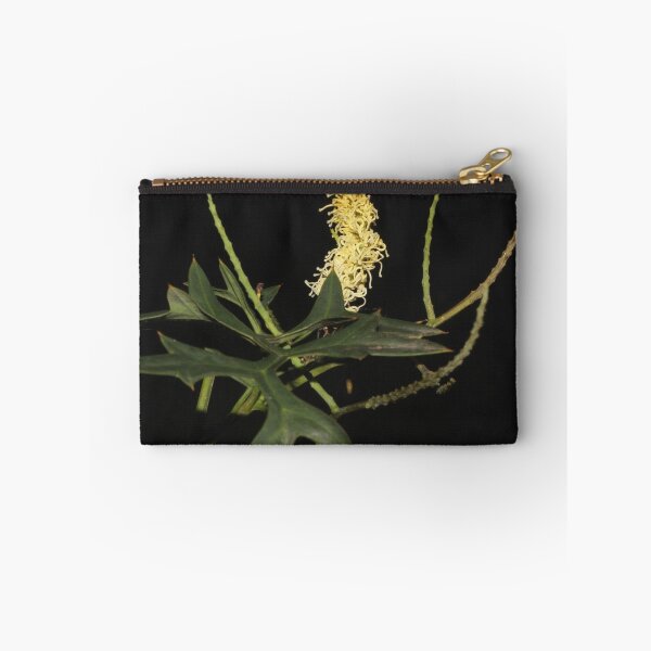 Item preview, Grevillea flexuosa designed and sold by andrachne.